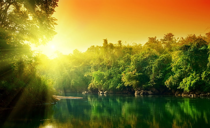 Lush Green Forest River At Sunrise, green body of water with trees, Nature, Rivers, Sunrise, Green, River, Forest, Lush, HD wallpaper
