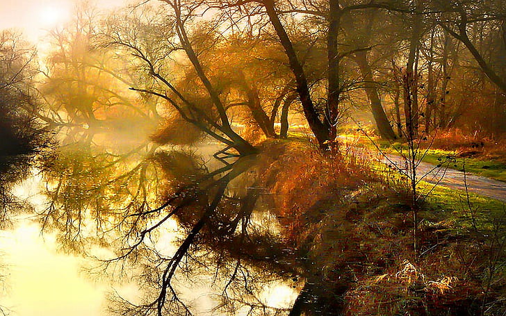 Autumn grandeur, trees, river, autumn, road, mist, HD wallpaper