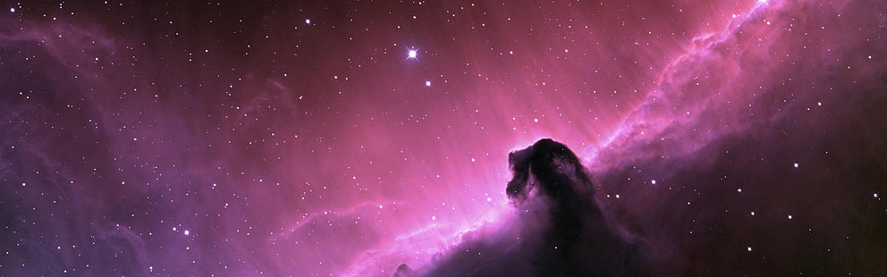 luar angkasa horsehead nebula Pesawat Luar Angkasa Seni HD, luar angkasa, Horsehead Nebula, Wallpaper HD HD wallpaper