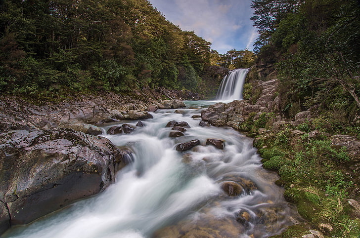 forest, river, stones, waterfall, New Zealand, Tawhai Falls, HD wallpaper