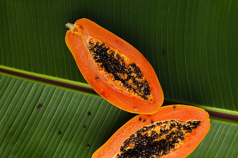 Blätter, Früchte, Papaya, HD-Hintergrundbild HD wallpaper