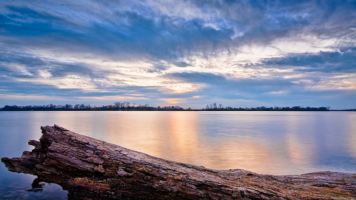 Shaft tron in a lake, brown wood log, landscape, tron, lake, water, sunset, cloud, HD wallpaper