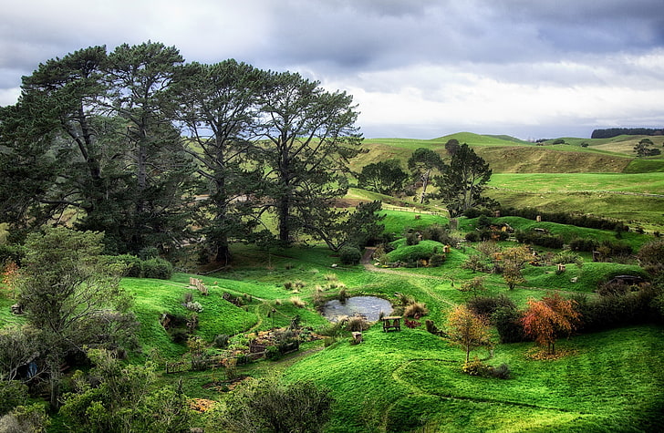 The Shire, green leafed trees, Movies, The Hobbit, Fantasy, House, Village, Hobbit, HD wallpaper