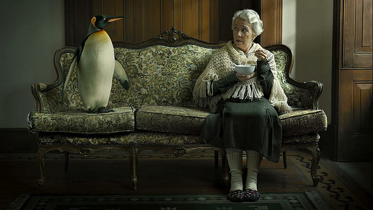 おばあちゃんとペンギン、白と黒のペンギンの置物、面白い、1920x1080、鳥、ペンギン、おばあちゃん、 HDデスクトップの壁紙