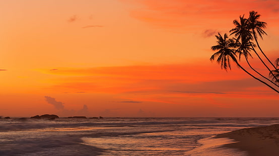 krajobraz, morze, palmy, tropikalny, Tapety HD HD wallpaper