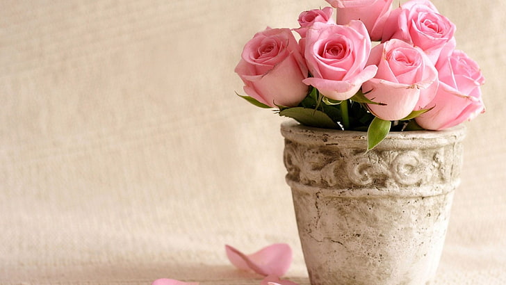 rosa rosa, buquê de flores, buquê de rosas, buquê, flor, rosa, rosa, rosas do jardim, vaso de flores, flores cortadas, produtos de floricultura, vaso, planta, design floral, HD papel de parede