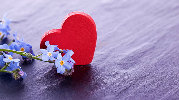 heart red ornament near on purple flowers, Valentine's Day, February 14, hearts, flowers, love, HD wallpaper