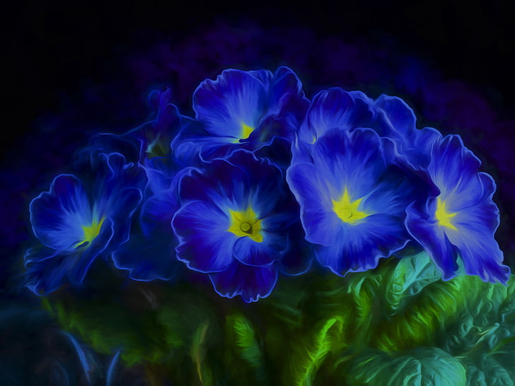 Primrose Blue flowers, 4K, HD wallpaper