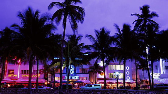 playa, tarde, Grand Theft Auto Vice City, hoteles, neón, palmeras, Fondo de pantalla HD HD wallpaper