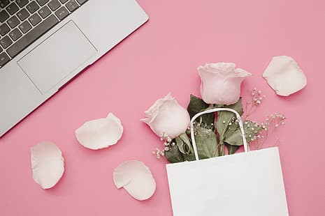 kwiaty, tło, różowy, róże, płatki, laptop, Tapety HD HD wallpaper