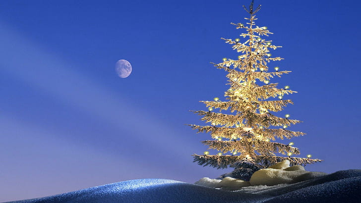 Лунна светлина над коледно дърво, коледно дърво под пълнолуние, празници, 1920x1080, светлина, Коледа, луна, весела Коледа, HD тапет