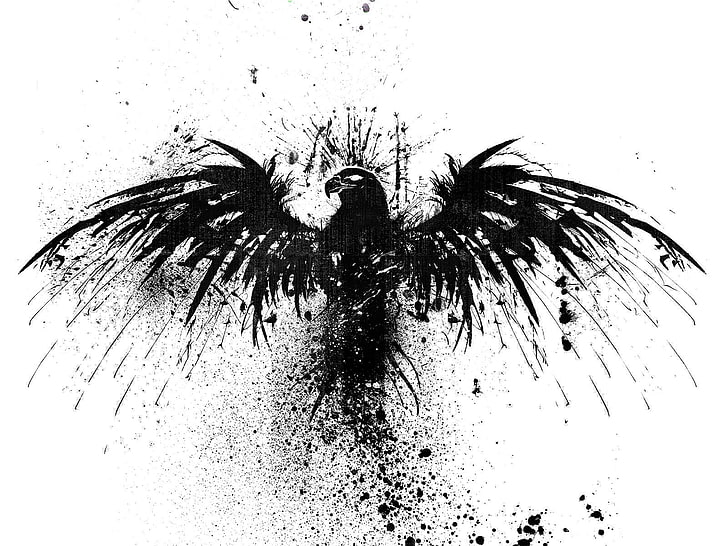 svart hök illustration, svart, vit, Gladius, HD tapet