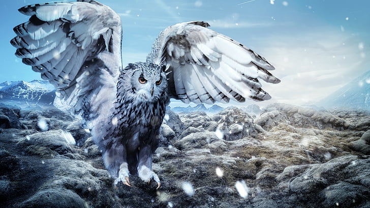 animated illustration of gray-and-white owl, owl, mountains, snow, winter, 5k, HD wallpaper
