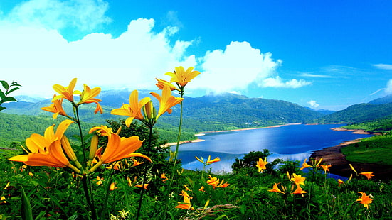 ربيع الزنبق الزنبق الأصفر بحيرة المناظر الطبيعية الجبلية خلفية HD 3840 × 2160، خلفية HD HD wallpaper