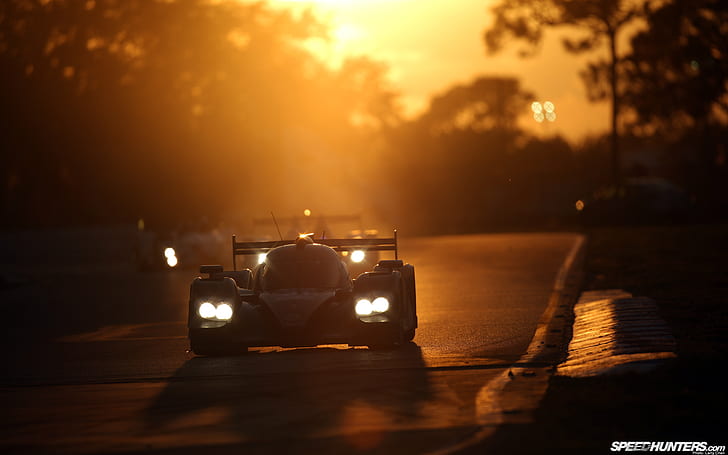 Race Cars Sunset HD, coches, puesta de sol, carrera, Fondo de pantalla HD