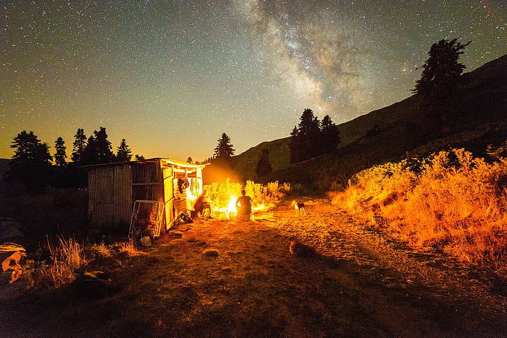 Night, Campfire, Nature, Stars, night, campfire, nature, stars, 2000x1335, HD wallpaper