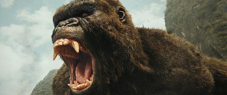 cinema, filme, gorila, filme, forte, Kong: Ilha da Caveira, Ilha da Caveira, King Kong:, HD papel de parede HD wallpaper