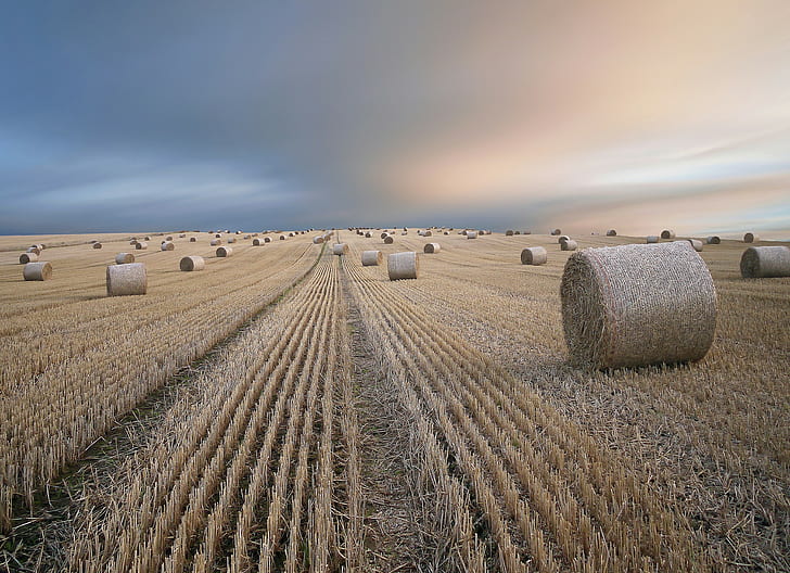 Ladang jerami musim panas, foto bal jerami, lapangan, jerami, lanskap musim panas, Wallpaper HD