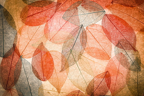 wallpaper daun merah dan oranye, daun, latar belakang, warna-warni, abstrak, musim gugur, transparan, Wallpaper HD HD wallpaper