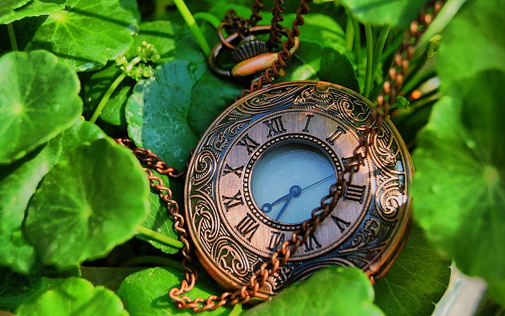 Карманные часы в листьях, золотые часы с подвеской-колье, Другое, зеленые, листья, цепочка, часы, HD обои