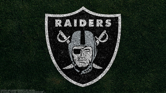  Football, Oakland Raiders, Emblem, Logo, NFL, HD wallpaper HD wallpaper