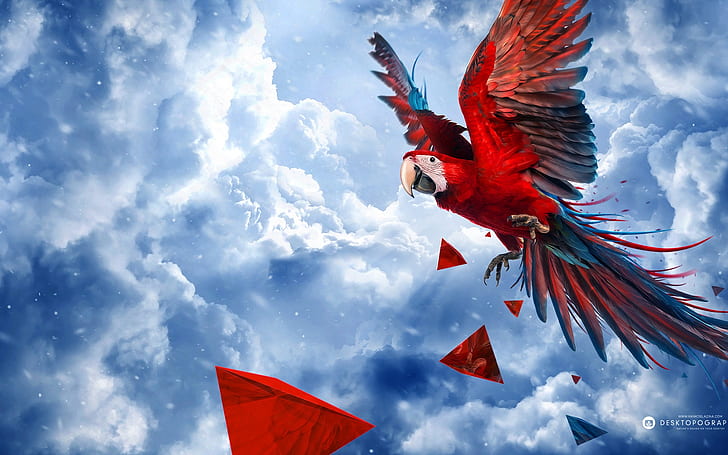 Parrot Blue Sky HD, painting of flying parrot, blue, sky, creative, graphics, creative and graphics, parrot, HD wallpaper