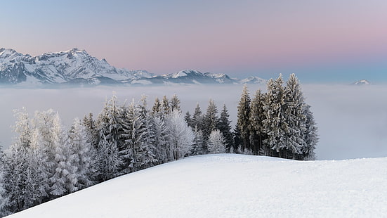 الجبال والأشجار المغطاة بالثلوج ، الطبيعة ، الثلج ، الغابة ، الجبال ، الضباب ، المناظر الطبيعية ، الشتاء، خلفية HD HD wallpaper