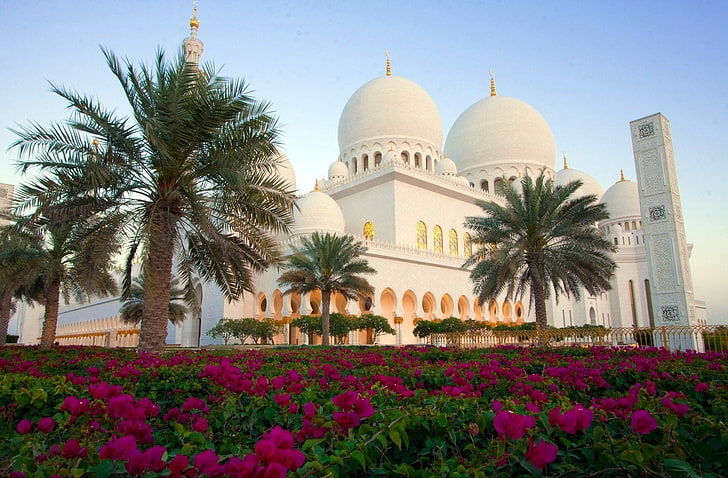 Mezquitas, Gran Mezquita Sheikh Zayed, Abu Dhabi, Flor, Palmera, Fondo de pantalla HD