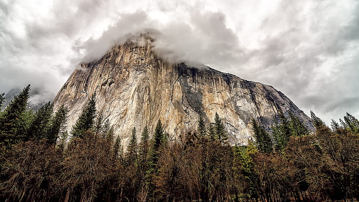 USA, Kalifornien, Yosemite National Park, rockberg, träd, moln, vita och svarta berg nära moln, USA, Kalifornien, Yosemite, National, Park, Rock, Mountain, träd, moln, HD tapet