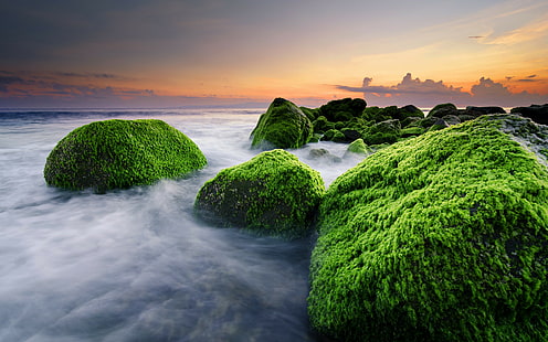 Masceti Beach, Masceti Beach, Ketewel, Bali, Indonesia, ocean algae, rocks, beach, HD wallpaper HD wallpaper