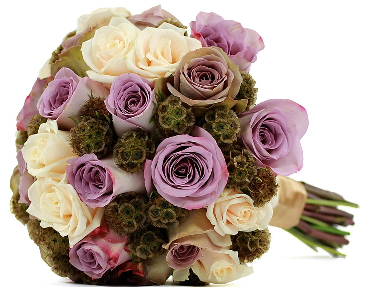 rosa und weiße Blumen, Rose, Scabiosa Sternenhimmel, Strauß, Dekor, HD-Hintergrundbild