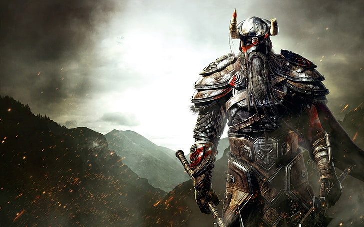 viking knight digital wallpaper, The Elder Scrolls, fantasy art, Vikings, video games, HD wallpaper