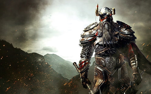 Viking Knight цифровые обои, The Elder Scrolls, фэнтези-арт, викинги, видеоигры, HD обои HD wallpaper