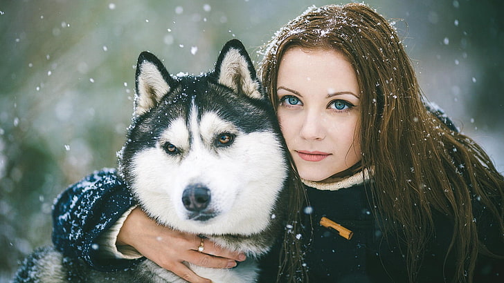 biało-czarny wilk, Siberian husky, przytulanie, pies, kobiety na zewnątrz, śnieg, model, czarne kurtki, niebieskie oczy, płatki śniegu, biały sweter, Tapety HD