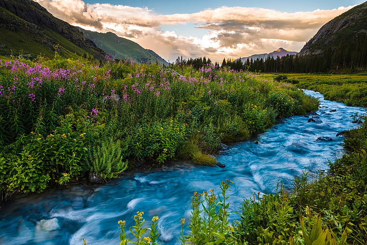 nature, landscape, river, trees, forest, clouds, hills, long exposure, Colorado, USA, flowers, mountains, HD wallpaper
