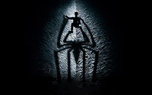Bewundern Sie Spider-Man- und Spinnenschattenillustration, das erstaunliche Spider-Man, Andrew Garfield, neues Spider-Man, HD-Hintergrundbild HD wallpaper