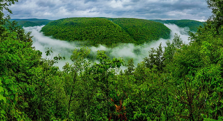Туман в лесу, небо, облака, лес, деревья, туман, холм, HD обои
