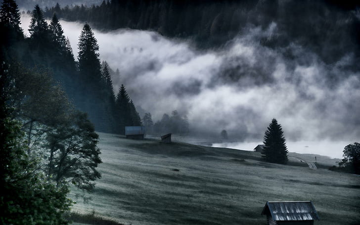 Sopra una meravigliosa valle nebbiosa, cielo grigio e alberi ad alto fusto foto, cabine, prato, valle, natura e paesaggi, Sfondo HD