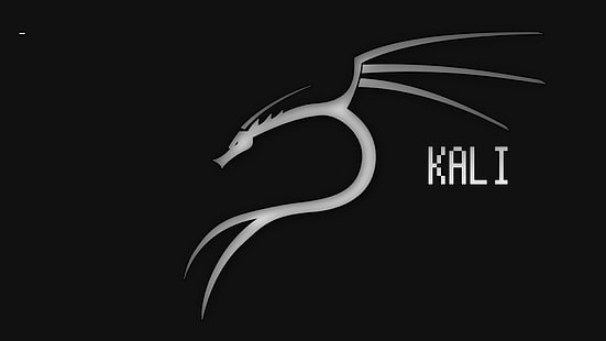 Tecnología, Kali Linux, Fondo de pantalla HD HD wallpaper