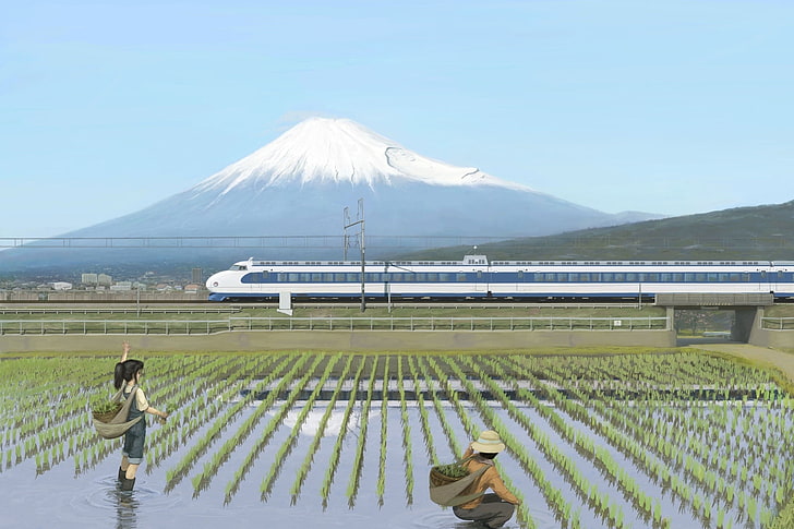 Monte Fuji, Japón, Fuji, campo de arroz, tren, Fondo de pantalla HD