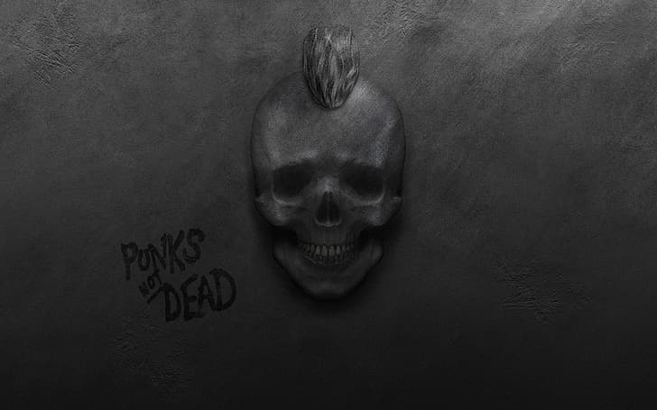 wall, skull, punks, Mohawk, punk rock, punks not dead, punks alive, HD wallpaper