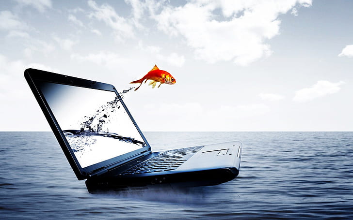 Fish Jump From Notebook, orange goldfish; black laptop computer, water, life, background, HD wallpaper