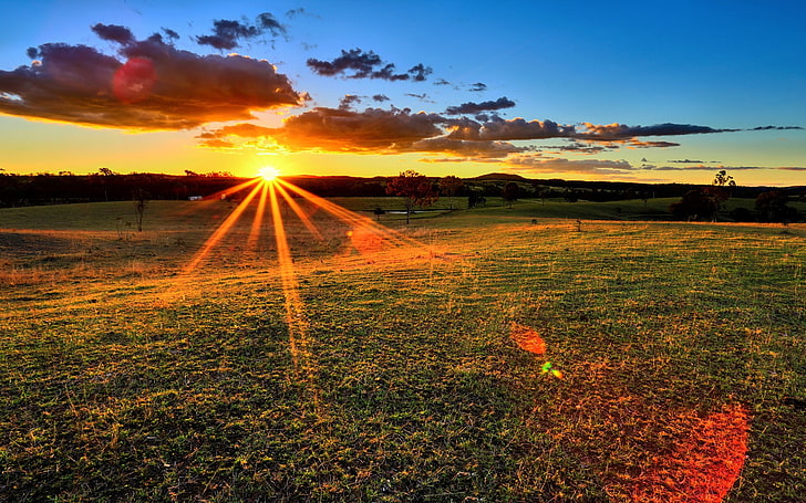 landscape, field, sunset, sun rays, skyscape, lens flare, HD wallpaper