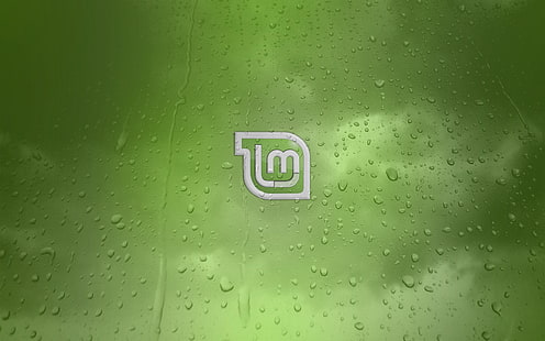 Linux, GNU, Linux Mint, HD-Hintergrundbild HD wallpaper