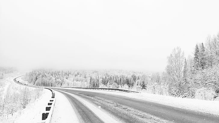 white, snow, winter, trees, road, minimalism, forest, monochrome, photography, HD wallpaper