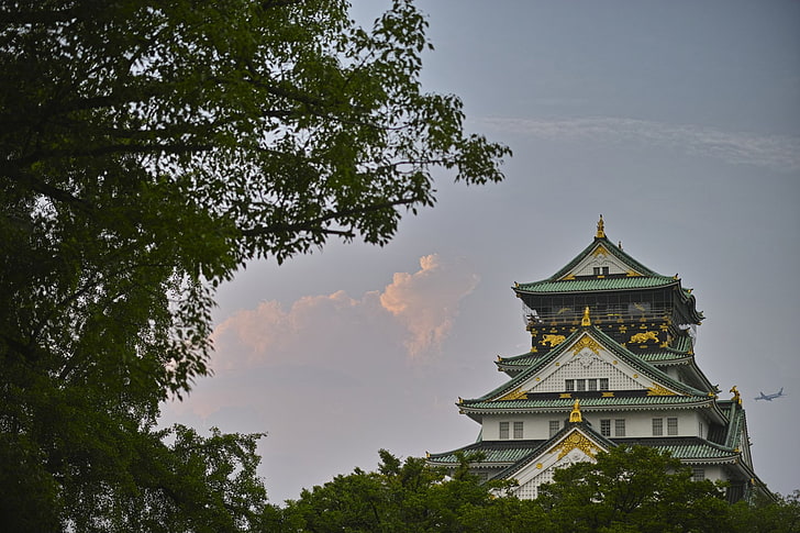 Slott, Osaka slott, gren, moln, Japan, himmel, HD tapet