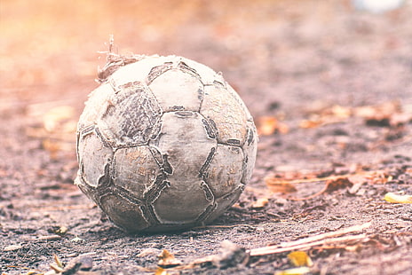white and black soccer ball, soccer, ball, HD wallpaper HD wallpaper