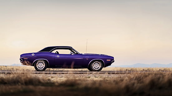 1970 фиолетовый Dodge Challenger, Додж Челленджер, мускул кар, 1970, ланчбокс фотоработы, HD обои HD wallpaper
