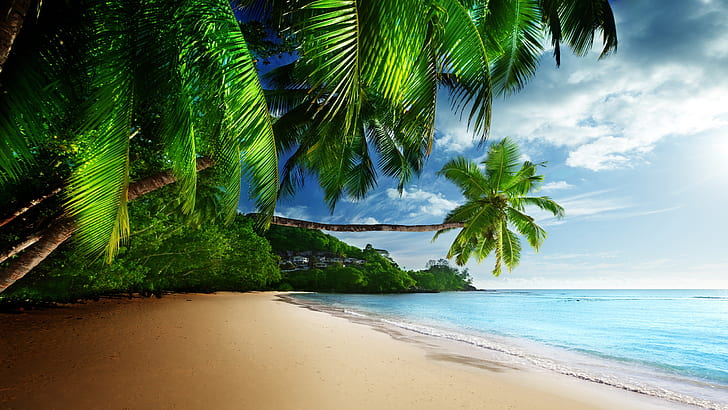 Тропически пейзаж, палми, слънце, плаж, крайбрежие, море, небе, синьо, зелени листа кокосово дърво, тропически, пейзаж, палма, дървета, слънчево греене, плаж, крайбрежие, море, небе, синьо, HD тапет