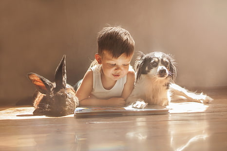 króliki, pies, dzieci, książki, Tapety HD HD wallpaper
